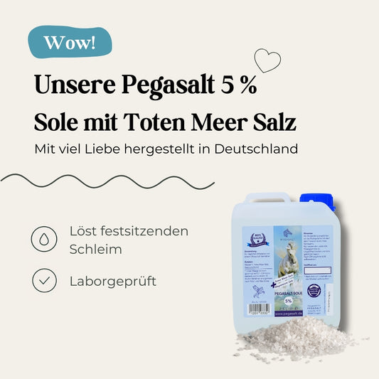 Pegasalt-Sole 5 % mit Salz vom Toten Meer 2500 ml - PEGASALT