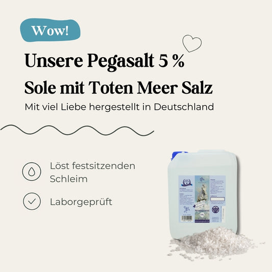 Pegasalt-Sole 5 % mit Salz vom Toten Meer 5000 ml - PEGASALT