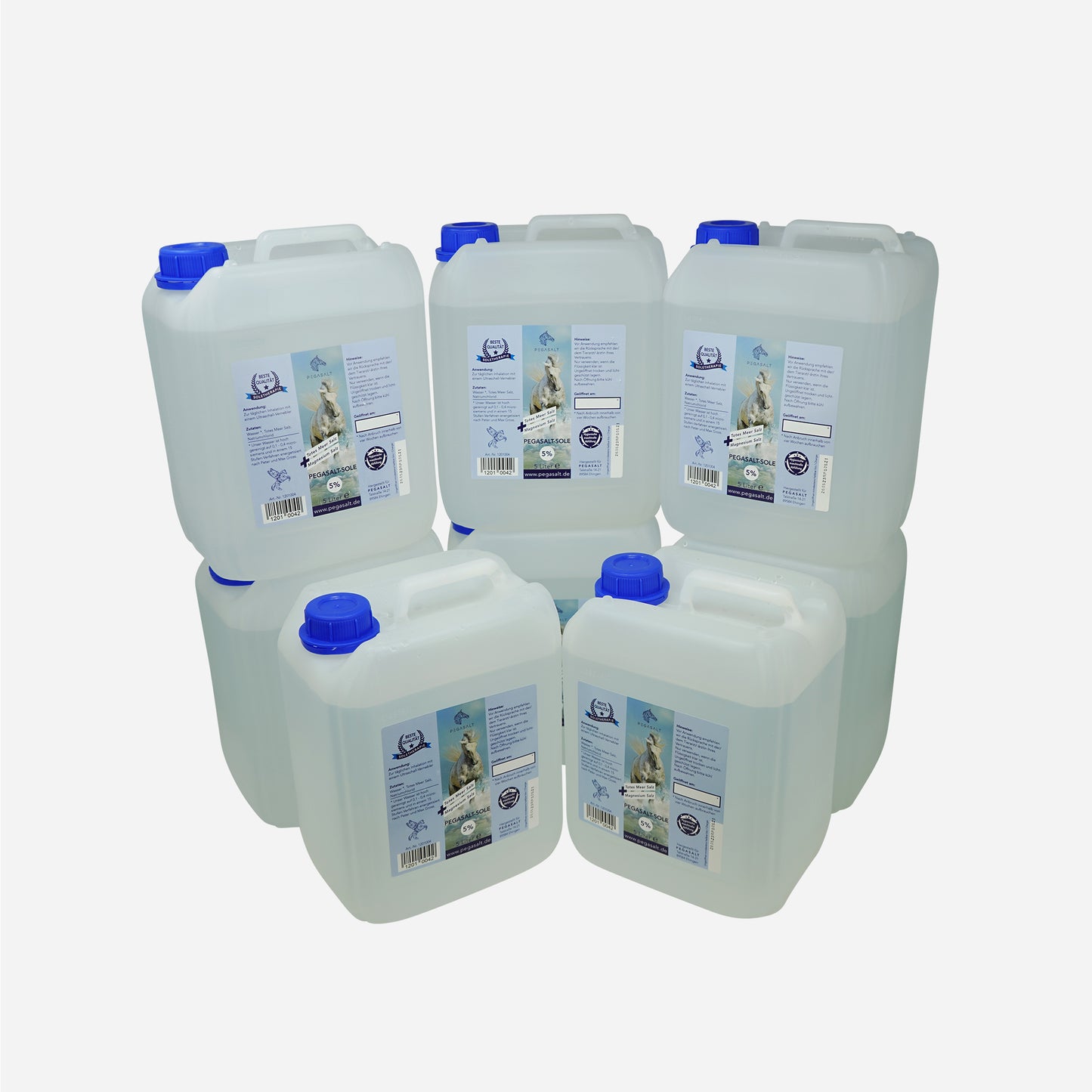 Pegasalt-Sole 5% | mit Salz vom Toten Meer 8 x 5000 ml | PEGASALT