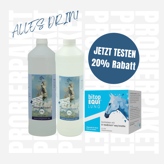 PROBIERPAKET Tote-Meer-Sole & bi-medEctoin Kombination - PEGASALT