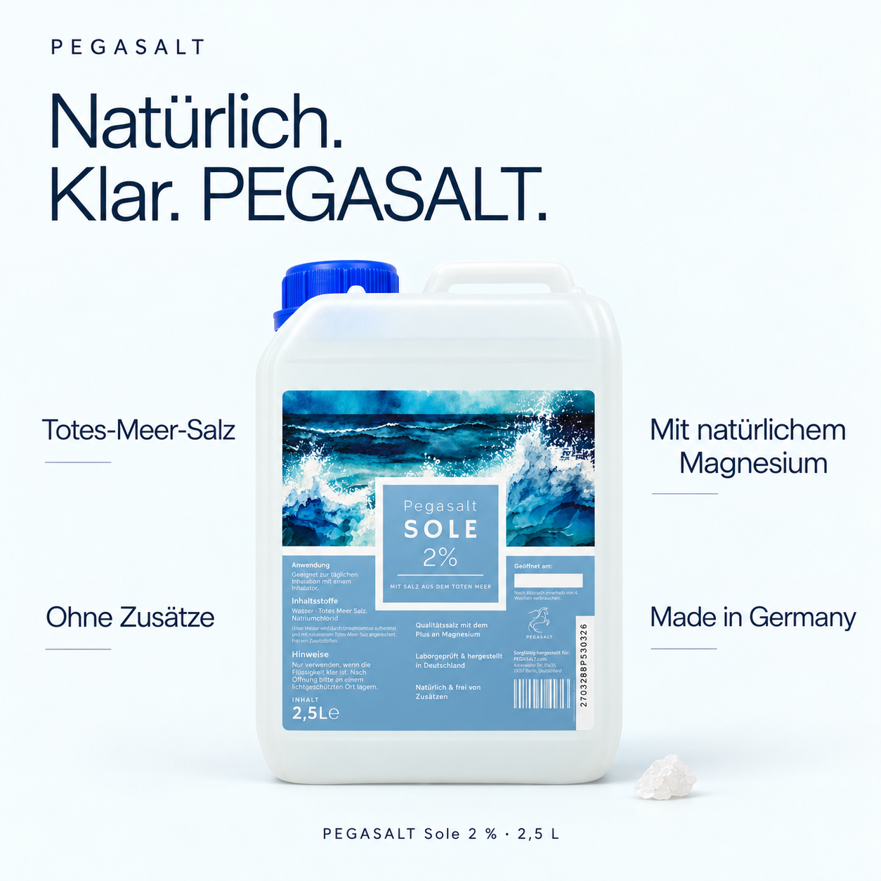 Pegasalt-Sole für Pferde zum Inhalieren | mit Salz vom Toten Meer 2500 ml | PEGASALT