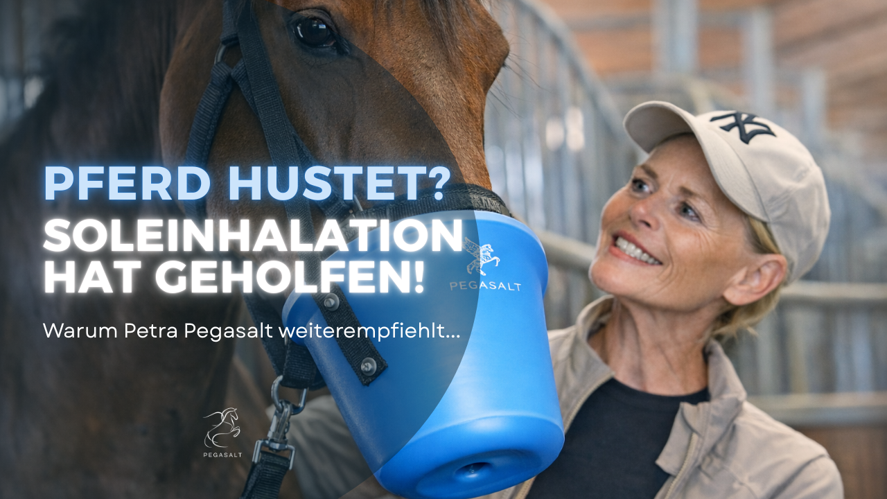 Video laden: Erfahrungsbericht zur Soleinhalation wie hilfreich inhalieren bei Pferdehusten ist