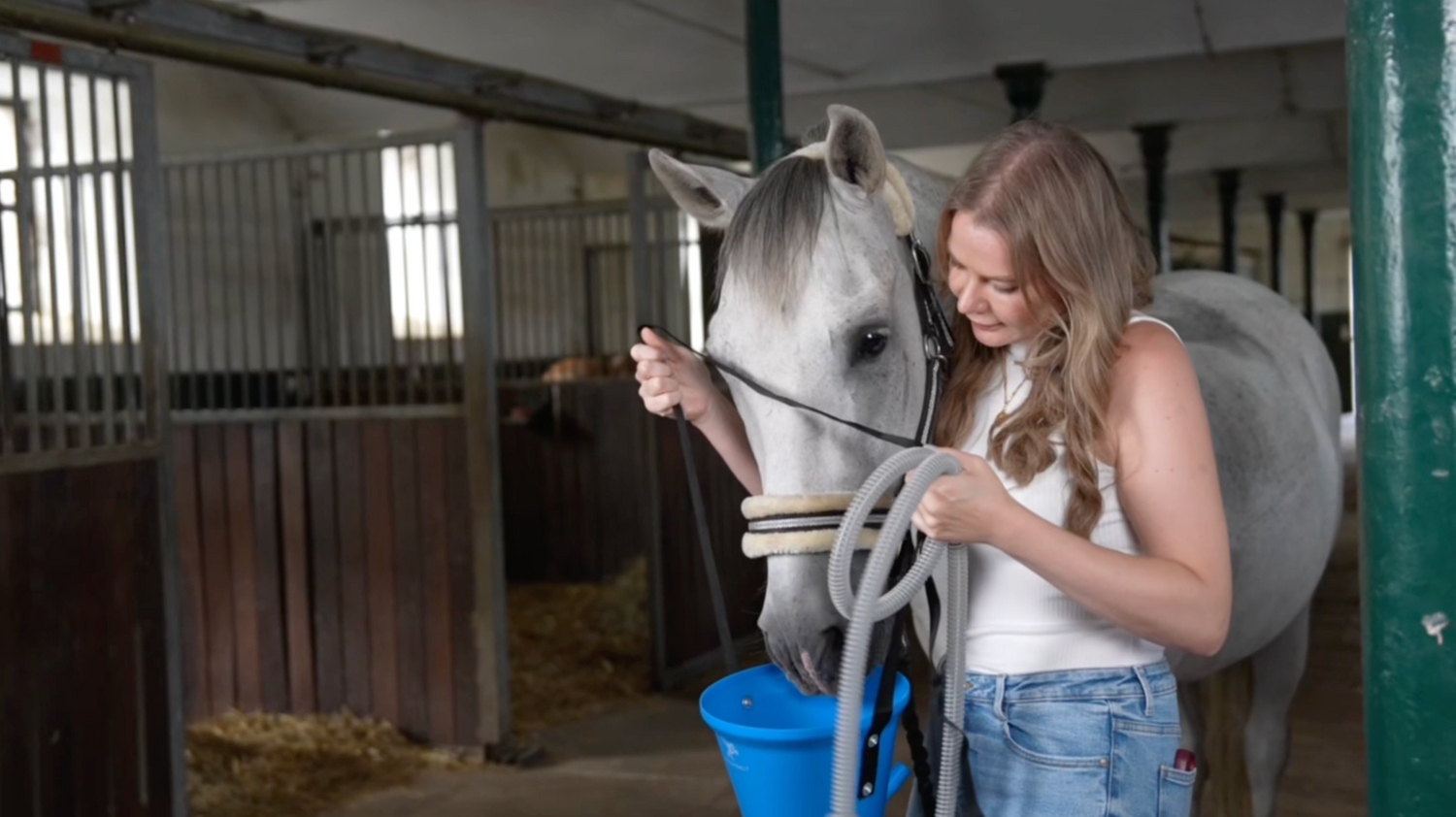 Pferd wird von Frau im Stall zur Soleinhalation mit Maske vorbereitet 