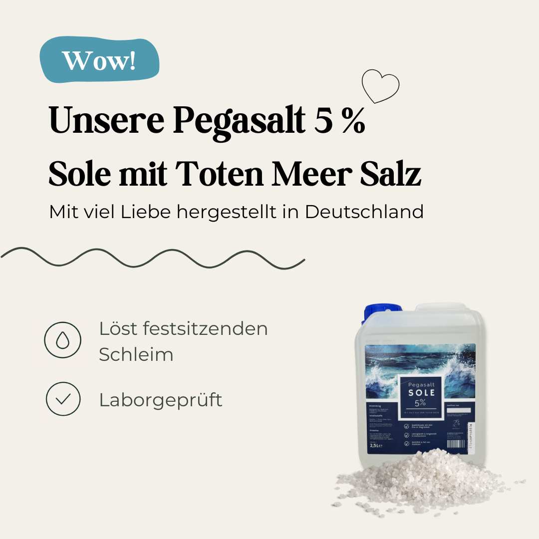 Pegasalt-Sole 5 % mit Salz vom Toten Meer 2500 ml - PEGASALT