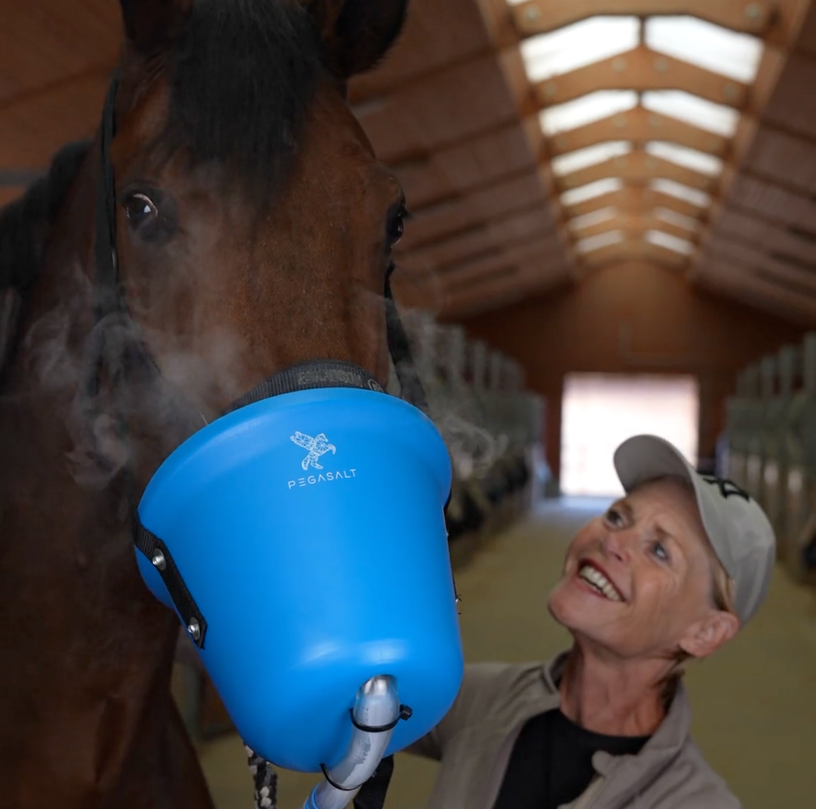 Pegasalt Inhalationsmaske für Pferde in blau + Schlauchadapter | PEGASALT
