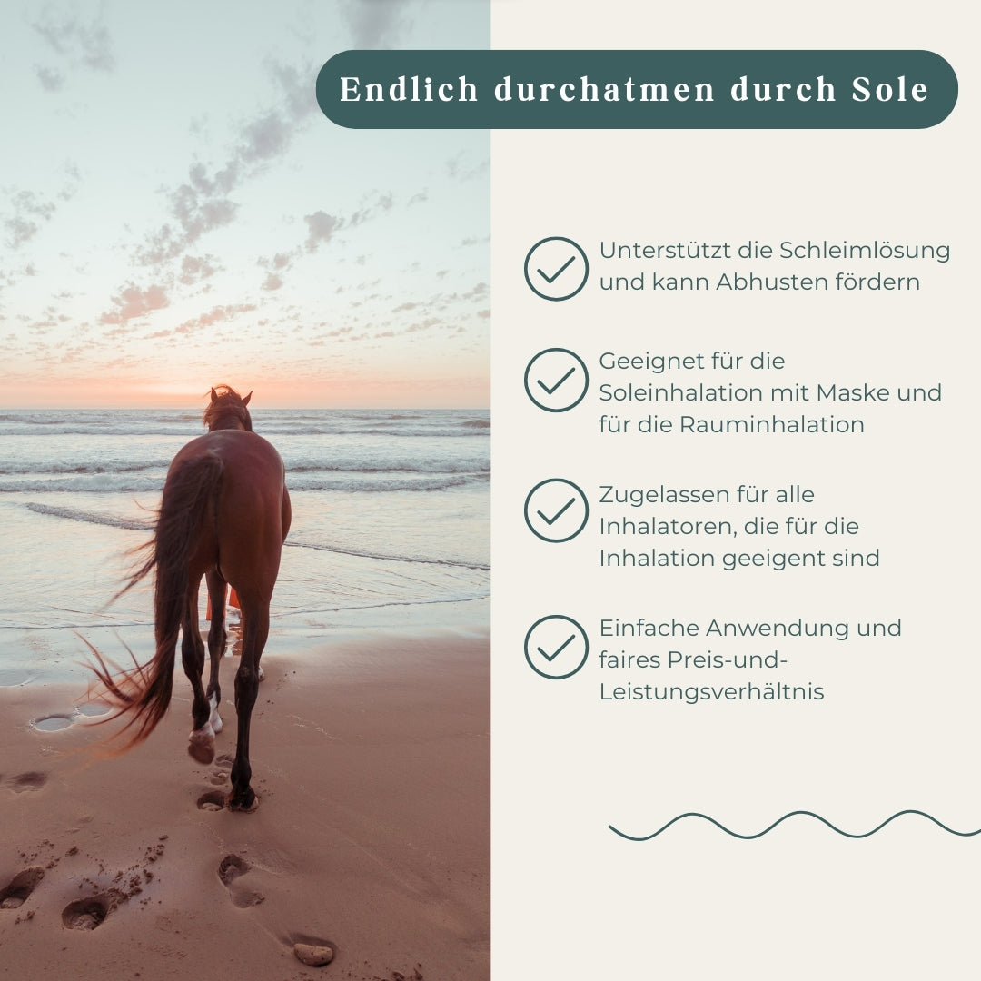 Pegasalt-Sole 5 % mit Salz vom Toten Meer 2500 ml - PEGASALT