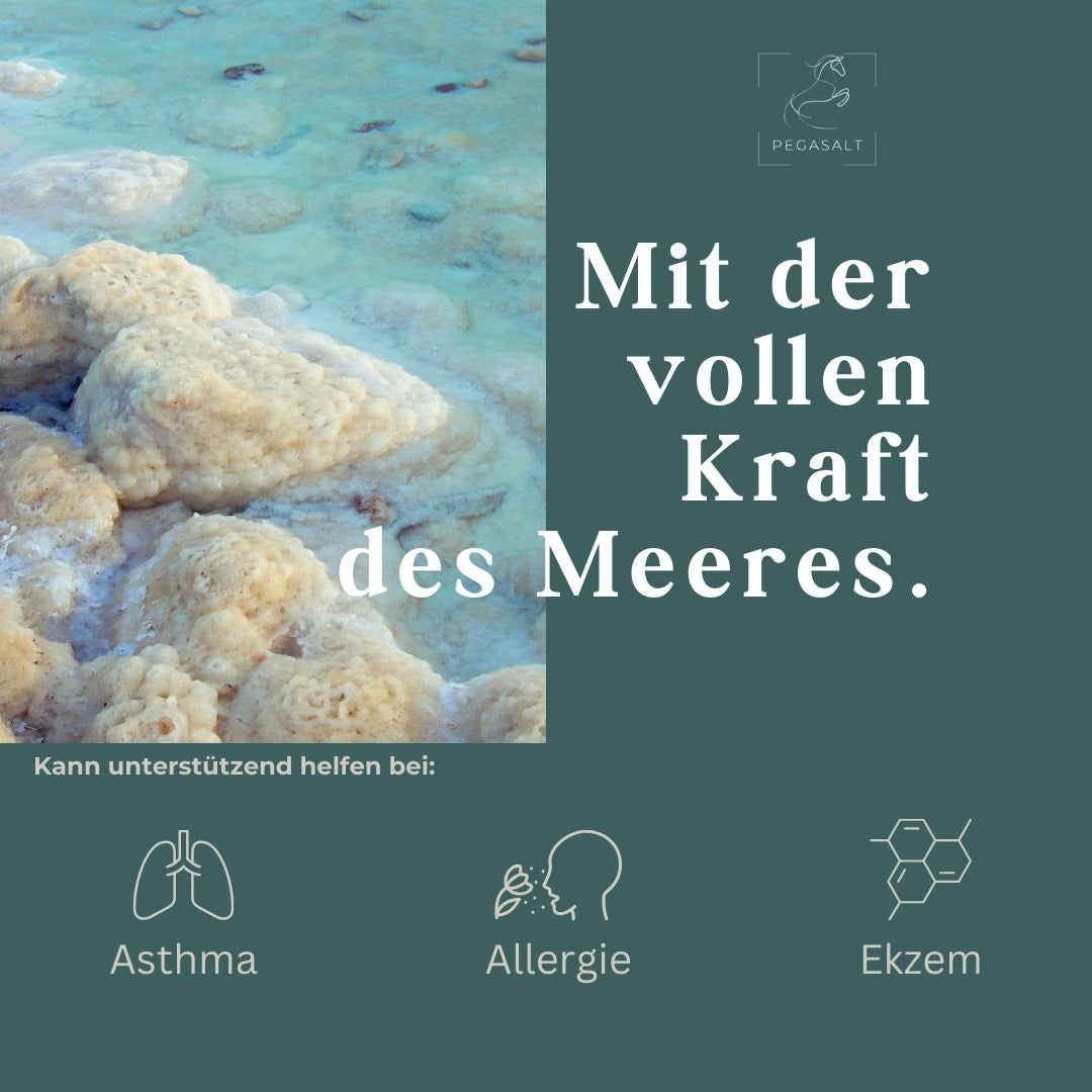 Pegasalt-Sole 5 % mit Salz vom Toten Meer 2500 ml - PEGASALT