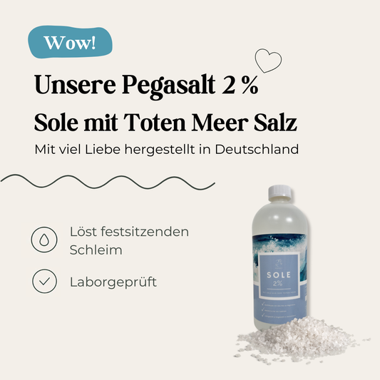 Pegasalt-Sole 2 % mit Salz vom Toten Meer 1000 ml | PEGASALT