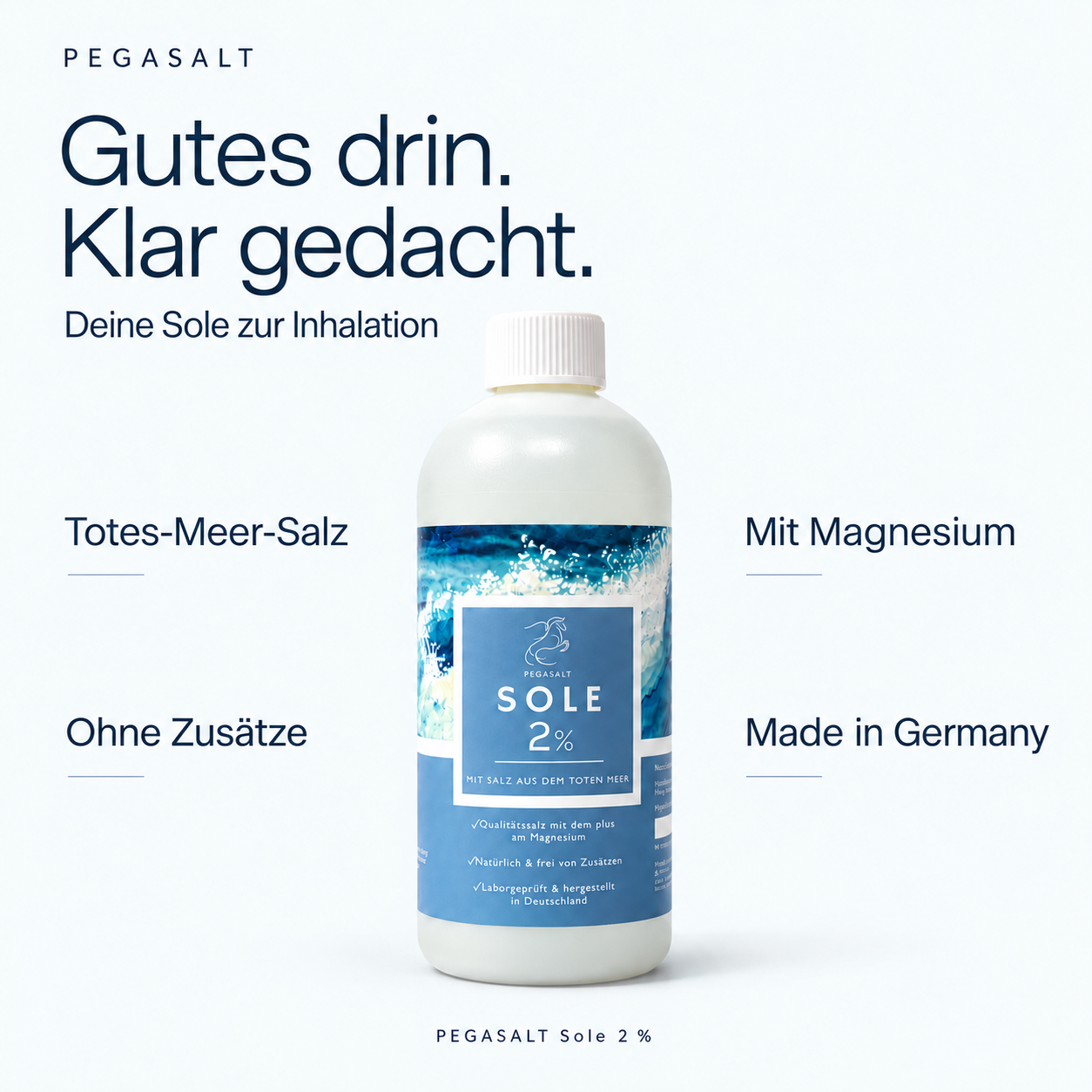 Pegasalt-Sole 2 % mit Salz vom Toten Meer 1000 ml | PEGASALT
