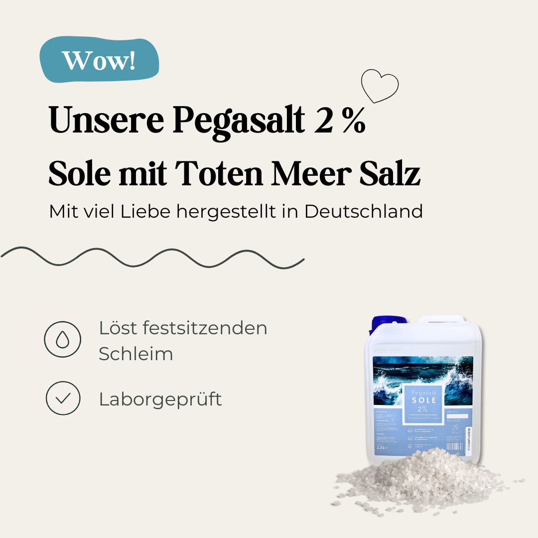 Pegasalt-Sole zum Inhalieren | mit Salz vom Toten Meer 1000 ml | 
